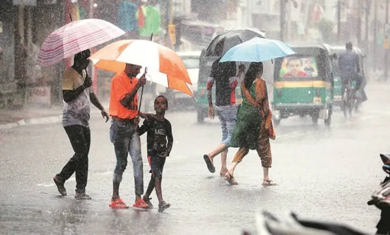 Gujarat Rain