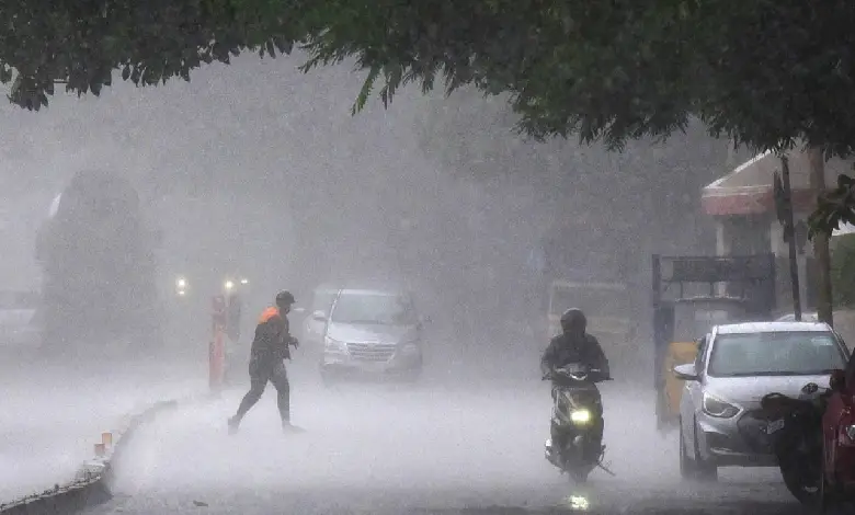 Rainfall In Gujarat