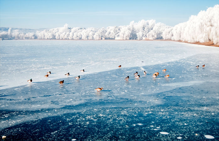 WMO's Alarming Report