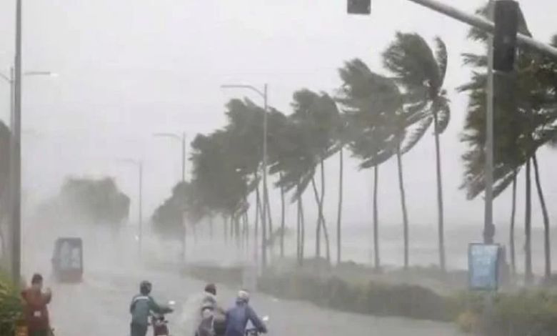 Gujarat Rain