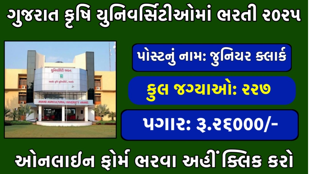 જુનિયર ક્લાર્ક ભરતી 2025